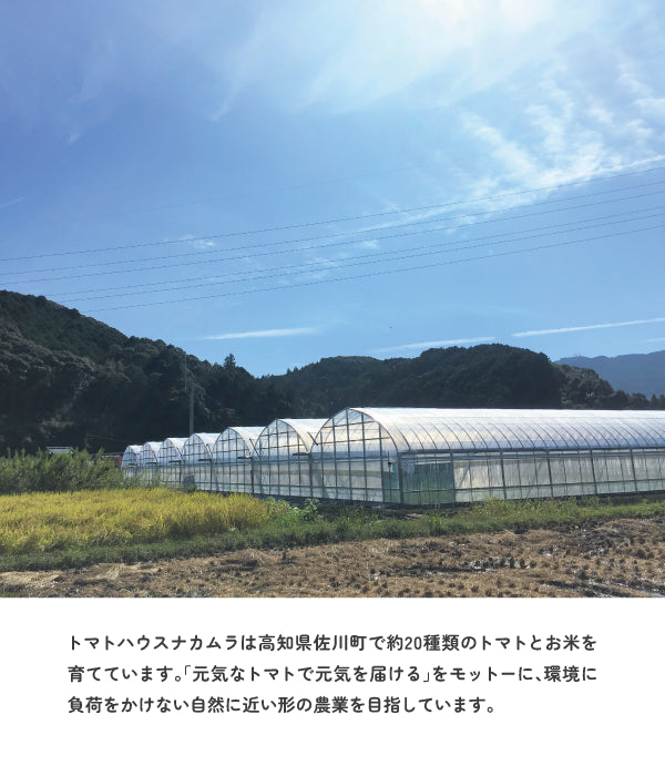 トマトハウスナカムラは高知県佐川町で約20種類のトマトとお米を育てています。「元気なトマトで元気を届ける」をモットーに、環境に負荷をかけない自然に近い形の農業を目指しています。